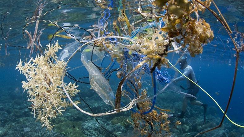 Plastic wastes were found even in the 11-kilometer Mariana trench, known as the deepest point in the world